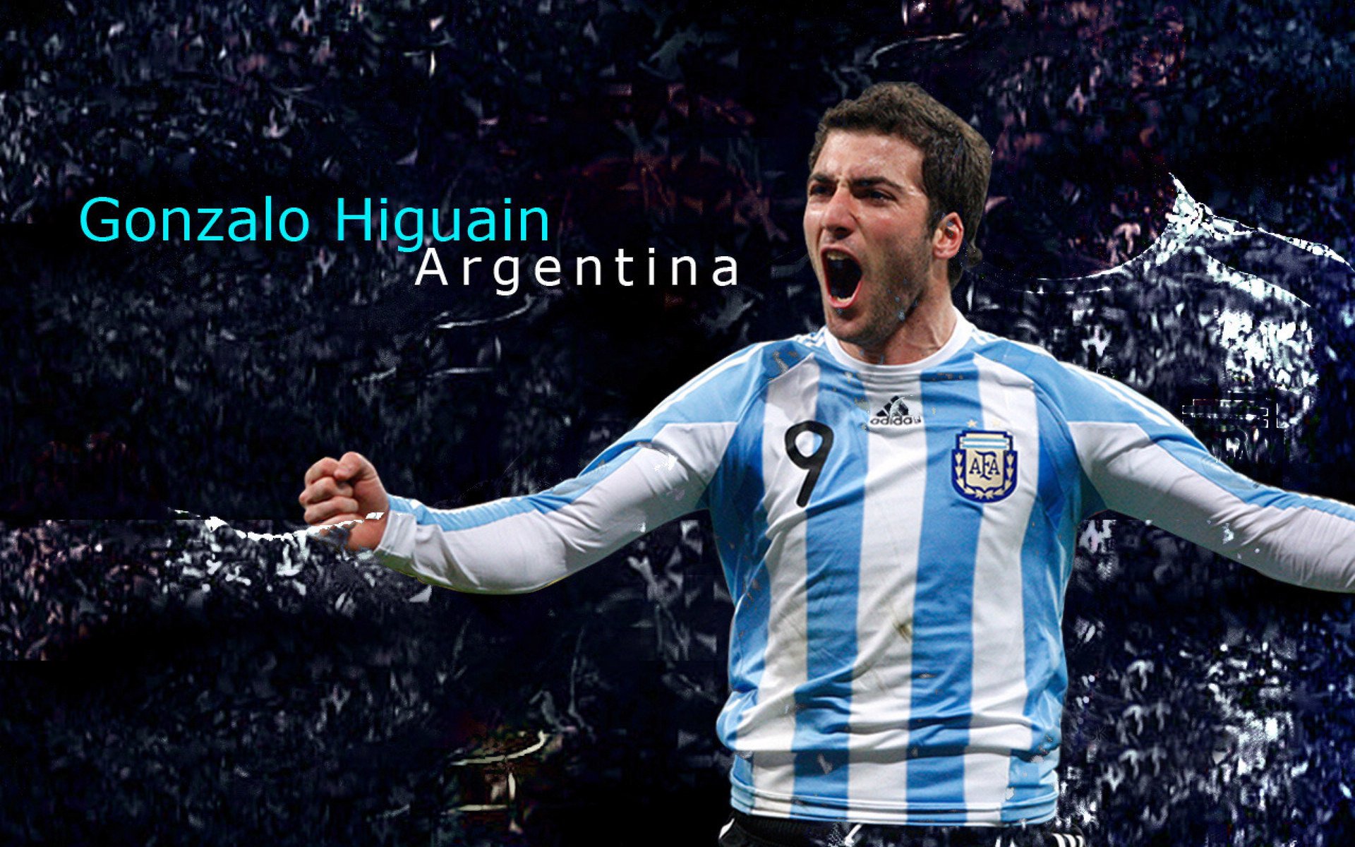 “阿根廷美洲狮队稳步前行，目标瞄准橄榄球未来”